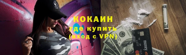 кокс Алексин