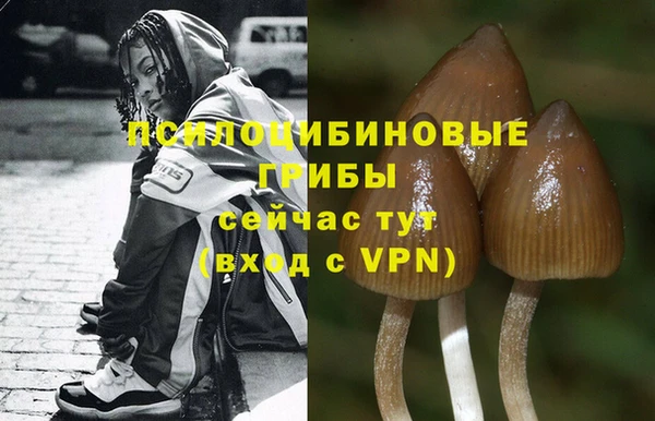 скорость mdpv Алексеевка