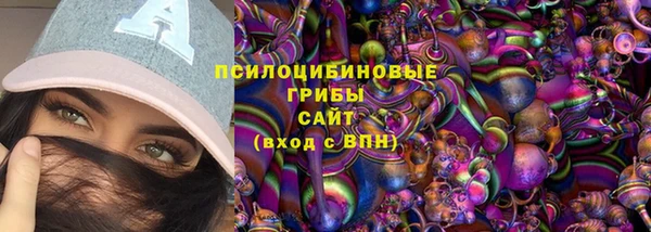 кокс Алексин